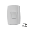 Interruptor Paralelo 10A 250V - Vertical
